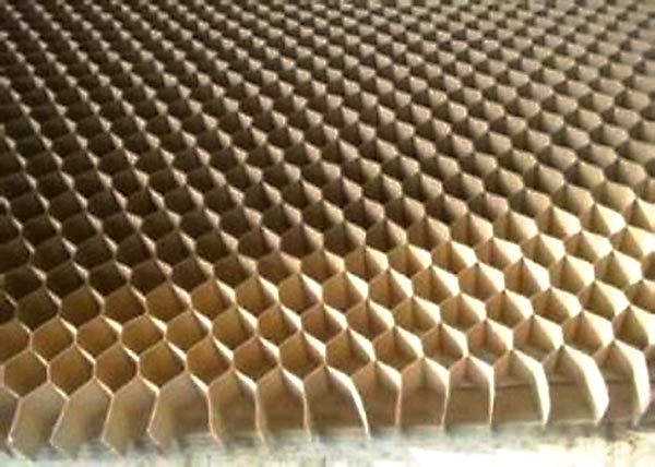 蜂窩紙木門(mén)